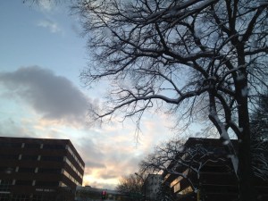 Sunset on Wintertime